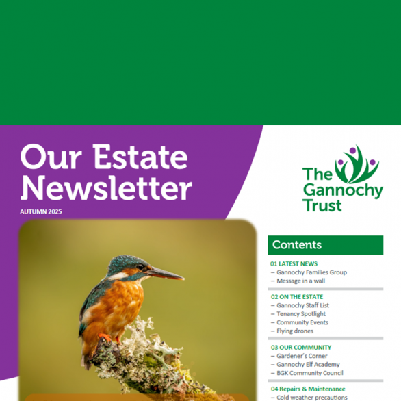 Estate Newsletter