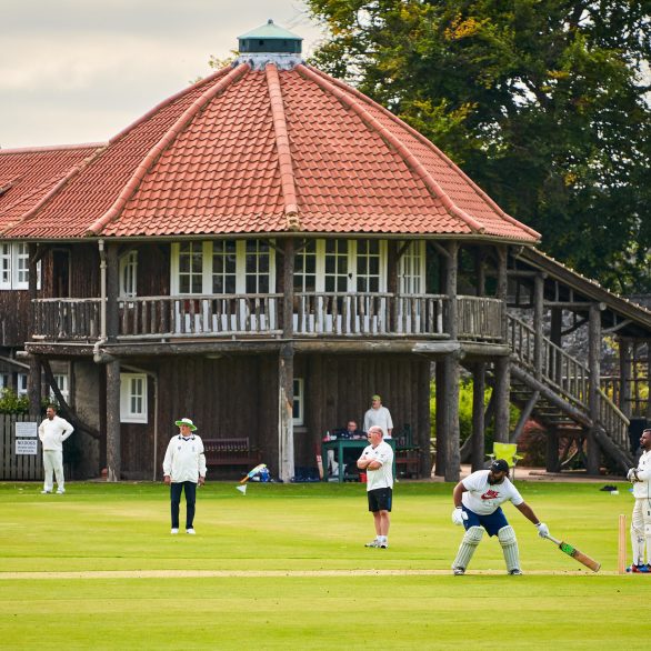 Cricket