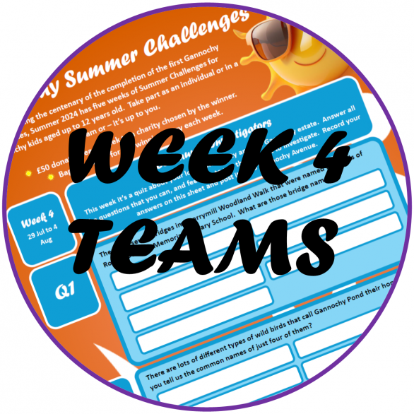 Gannochy Summer Challenges – Week 4 entries and winners
